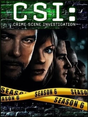 CSI: Đội Điều Tra Hiện Trường (Mùa 6)