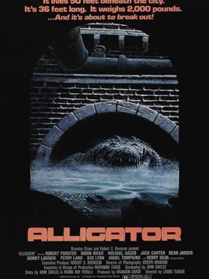 Alligator