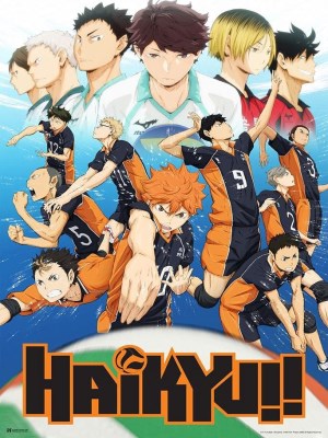 Vua Bóng Chuyền Haikyuu (Mùa 1)