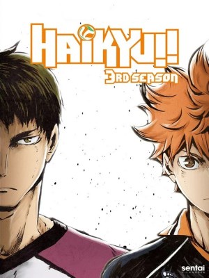 Vua Bóng Chuyền Haikyuu (Mùa 3)