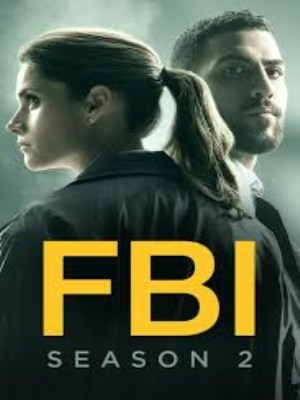 FBI (Mùa 2)